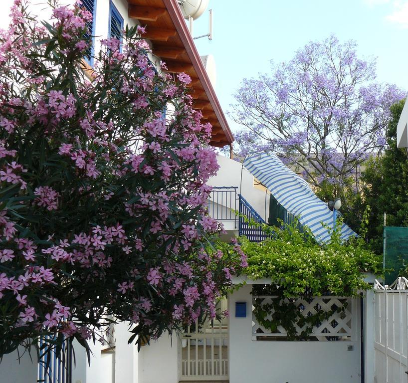 Готель La Jacaranda Сант'Антьоко Екстер'єр фото
